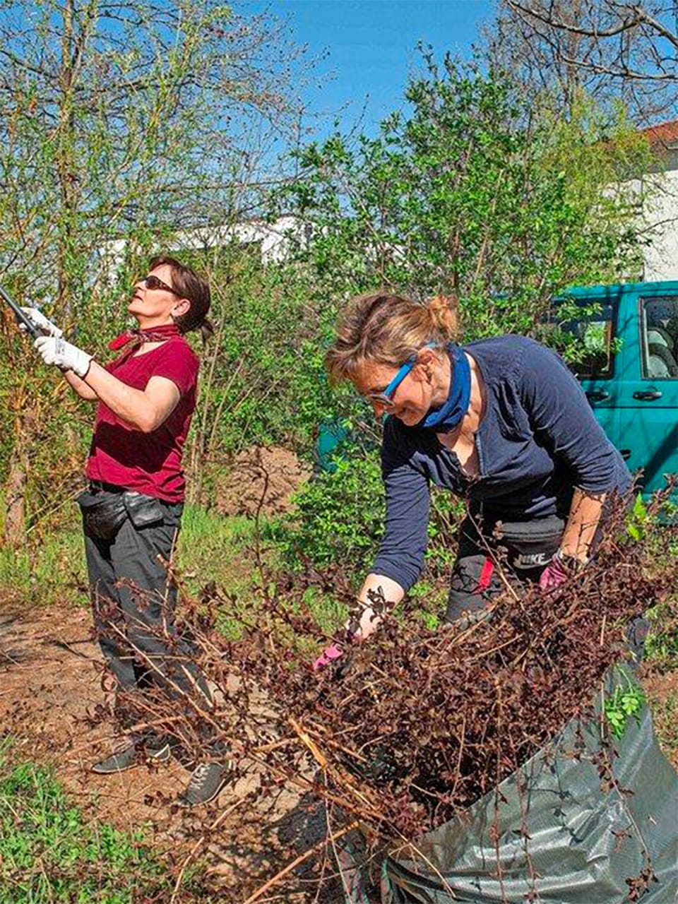 Zwei Frauen lichten in der Frühjahrssonne Gestrüpp aus.